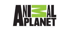 animal planet reklam seslendirme ajansi referansı