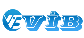 vib reklamlari seslendirme referansı